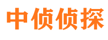 文成市侦探